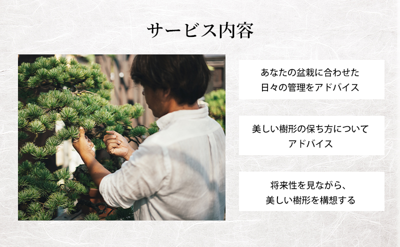 盆栽 翠松園 リザーブサービス 【あなたの盆栽に合わせた