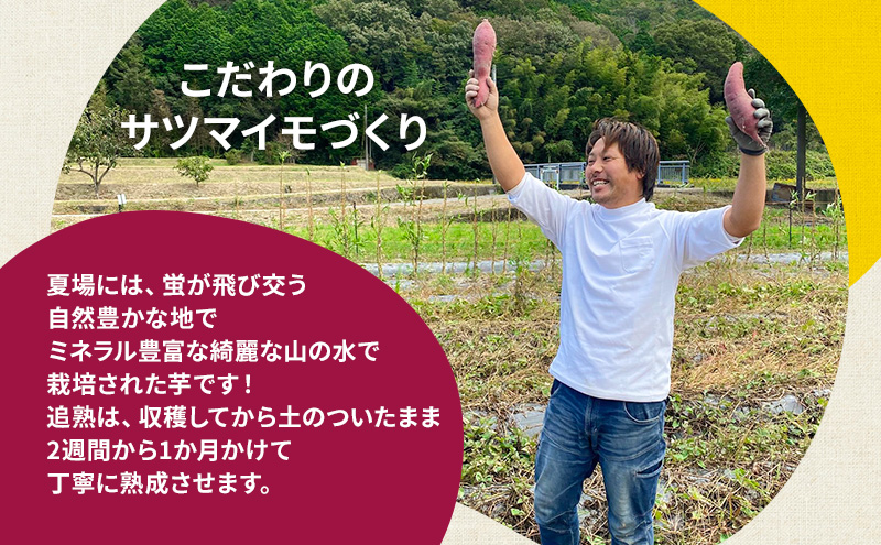 【訳アリ】冷凍 やきいも 300g 紅はるか お試し 不揃い imo.dot