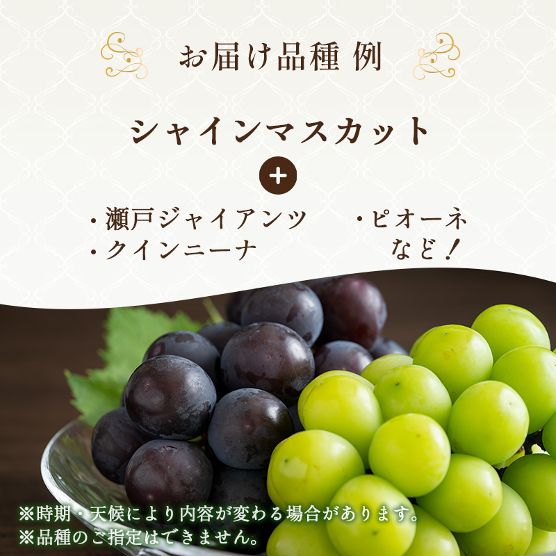 9月限定｜採れたて旬のぶどう 食べ比べ 約2kg（3～4房）シャ