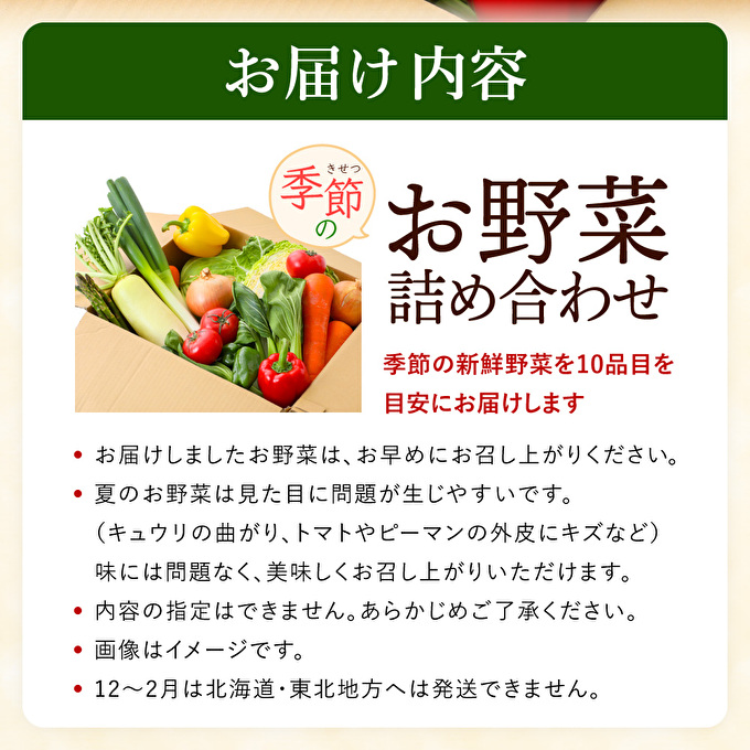 季節の野菜 セット 詰め合わせ 10品程度 野菜 野菜セット 旬