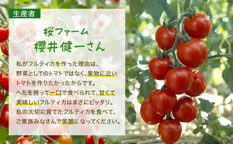 桜ファームの中玉トマト『フルティカ』1.5kg とまと おいし