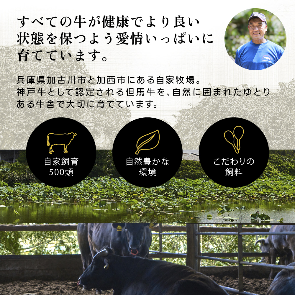 神戸牛 すき焼き用肉 もも肉 バラ肉 セット 選べる 1～2パック 400g 800g 食べ比べセット 詰め合わせ A4ランク A5ランク 牛肉 牛 お肉 肉 ブランド牛 和牛 神戸ビーフ 但馬牛 すき焼き肉 食べ比べ 国産
