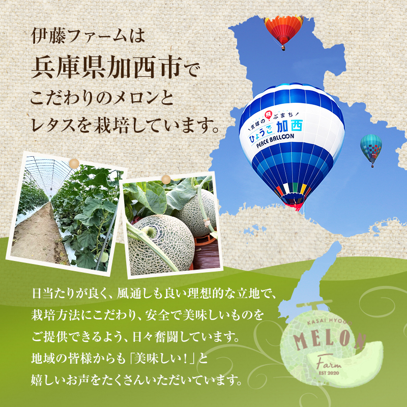 【先行予約】マスクメロン アールスメロン アールスムーラン 1個 糖度14度以上 メロン 大玉 めろん フルーツ 秀品 兵庫県 加西市産 ギフト プレゼント 人気