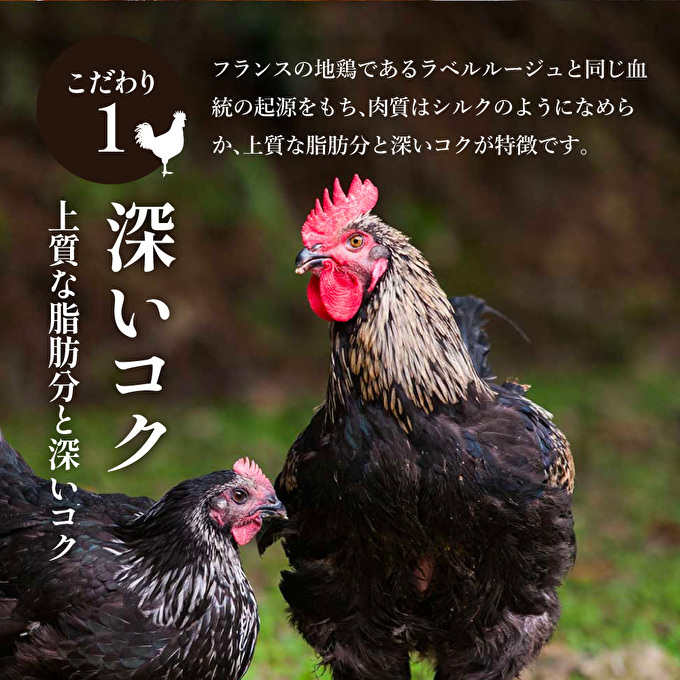 【最短4日以内発送！】 キーマカレー 地鶏丹波黒どりと京