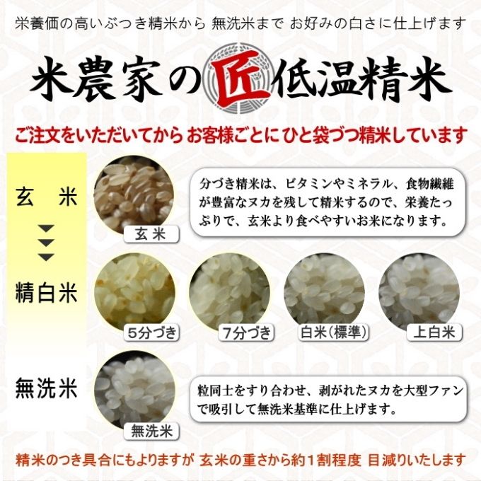 米 【令和7年産】 コシヒカリ 5kg精米 奥播州源流 芥田川産 