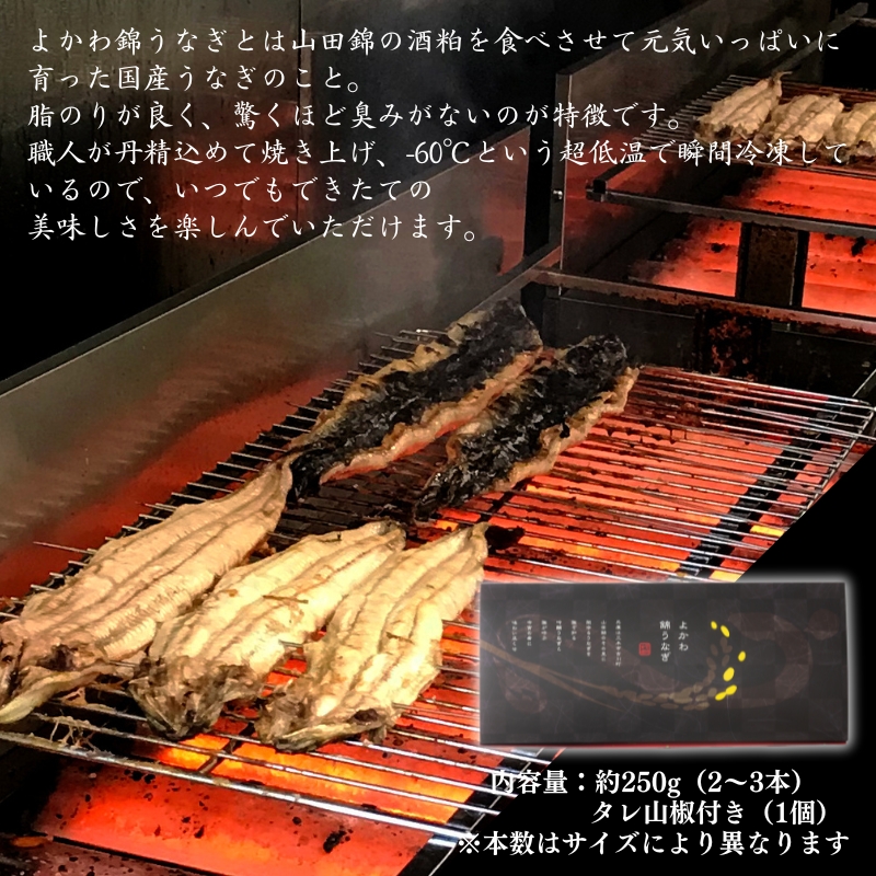 アラジン カセットコンロ ヒバリン 白 国産 よかわ錦うなぎ