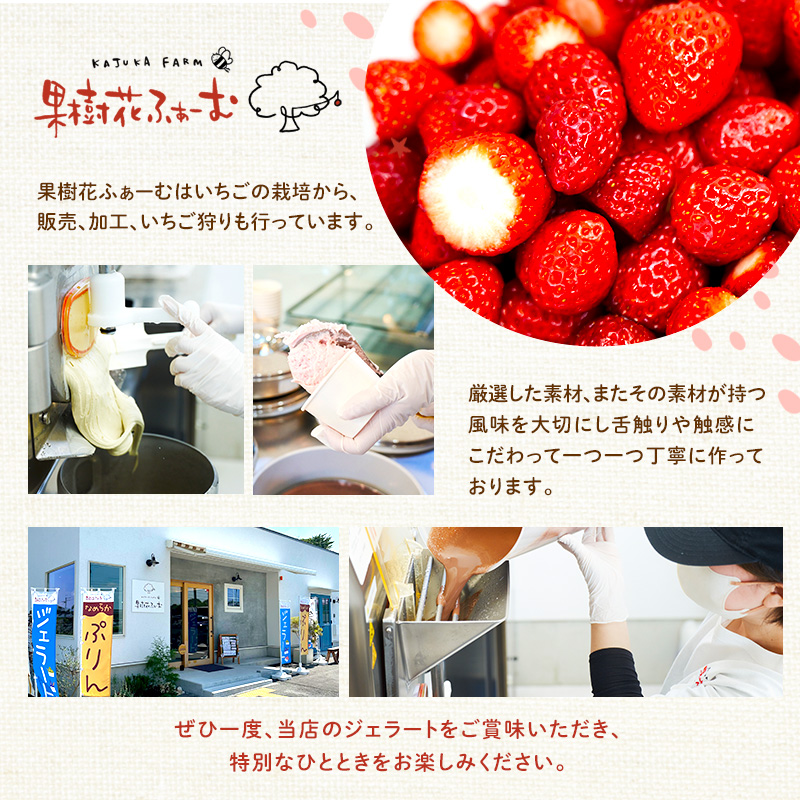 ジェラート チョコ 12個 アイス アイスクリーム スイーツ お