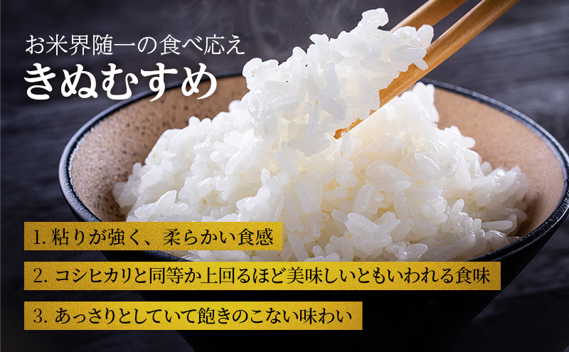 【令和6年産新米予約受付】 定期便 きぬむすめ 3kg×2袋 3ヶ