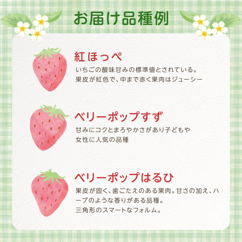 いちご 2パック 兵庫県 加西市 果物類 苺 イチゴ 果物詰合せ