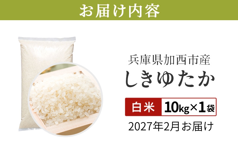 【令和8年産 先行受付】しきゆたか 白米 10kg《2027年2月発送