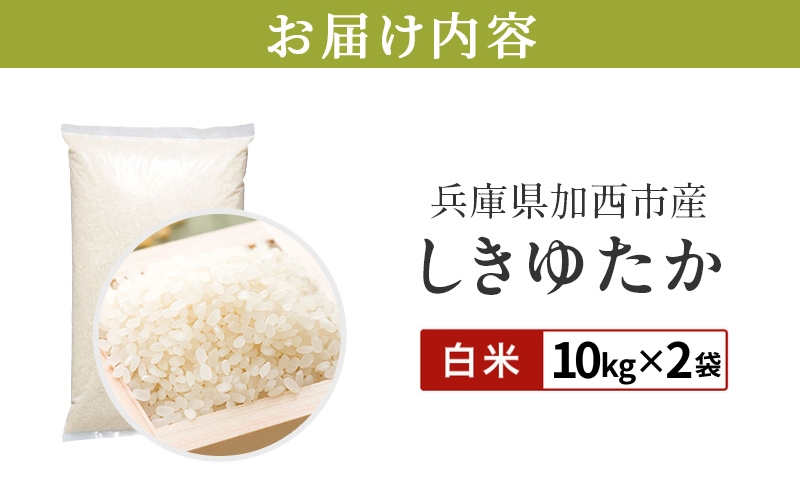 【令和8年産 先行受付】しきゆたか 白米 20kg (10kg×2)