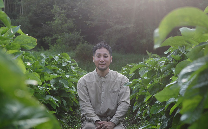 【2026年10月発送】有機黒枝豆 ひかり姫 1kg 200g×5袋 さや 希