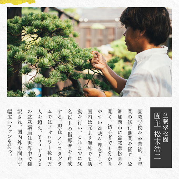 盆栽 翠松園 商品クーポン券 300,000円分 植物 観葉植物 園芸 