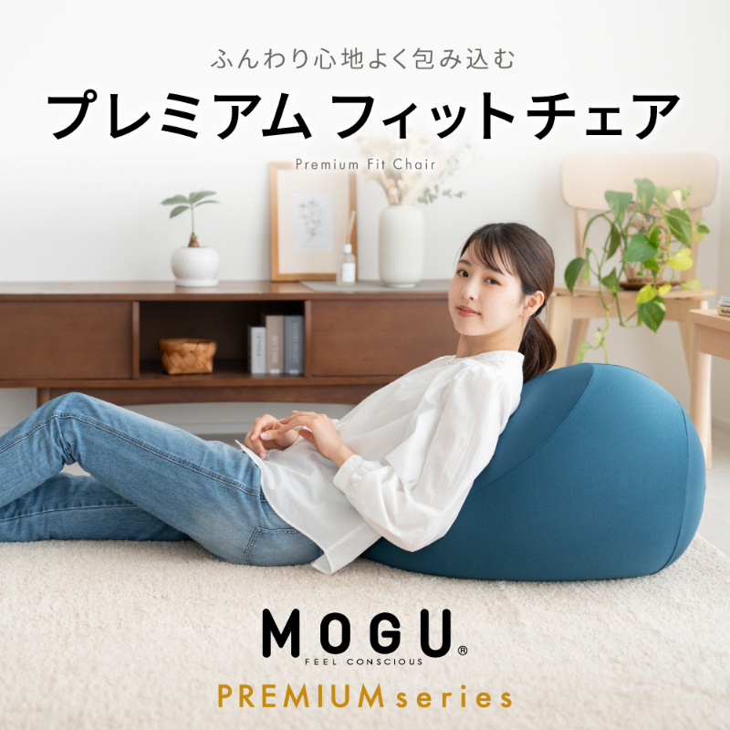 フィットチェア MOGU モグ プレミアム 全5色 カバー付 ビーズ