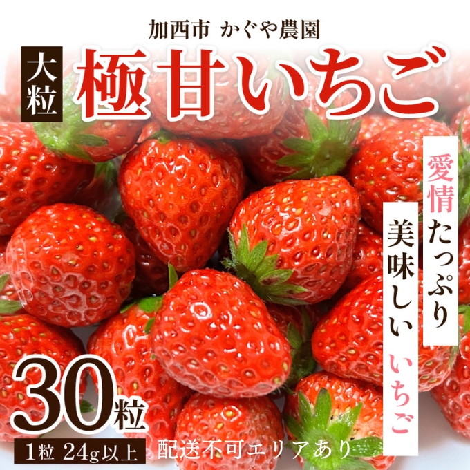 【令和8年産】 かぐや農園の極甘 いちご 大粒 30粒 果物 フ
