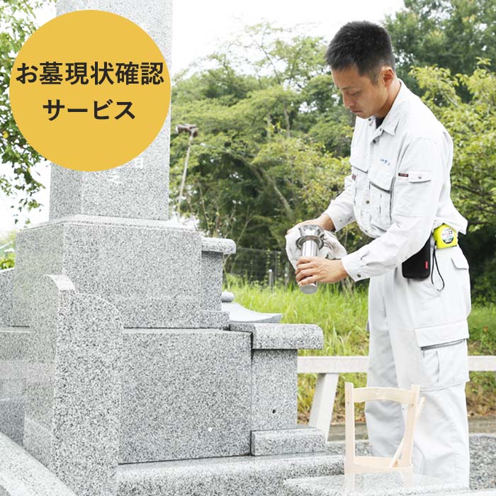 お墓現状確認サービス 代行サービス さーびす おはか だい