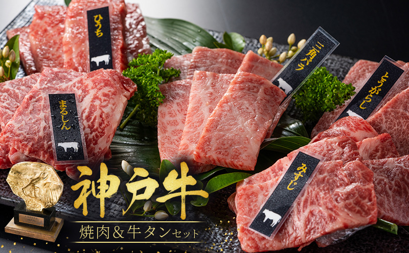 神戸牛 焼肉セット 3種 バラ もも 牛タン セット 計500g 牛肉 