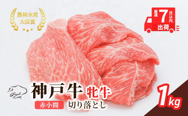 【最短7日以内発送】 神戸ビーフ 神戸牛 牝 切り落とし 赤