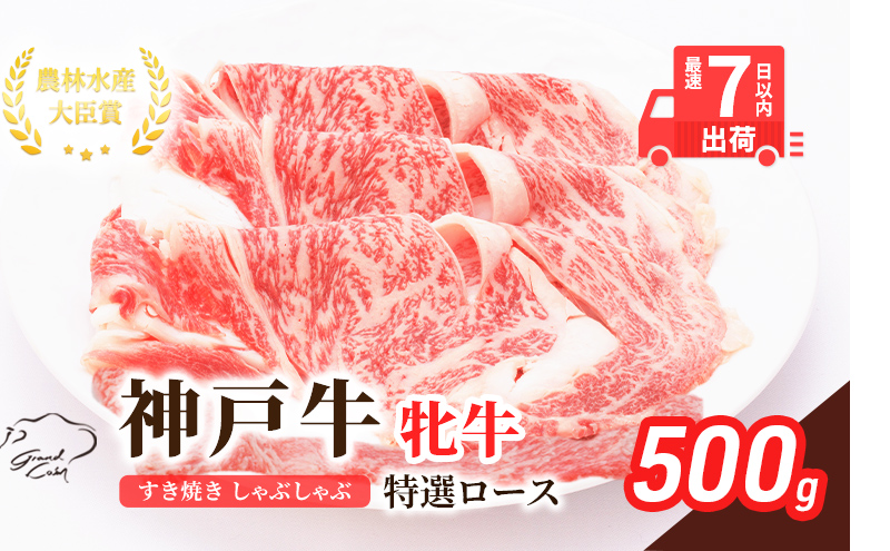 【最短7日以内発送】 神戸ビーフ 神戸牛 牝 特選ロース 500g 