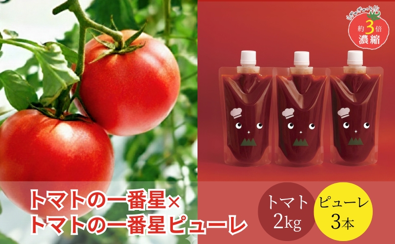 トマト 2kg+トマトの一番星ピューレ 380g×3本セット 兵庫県産