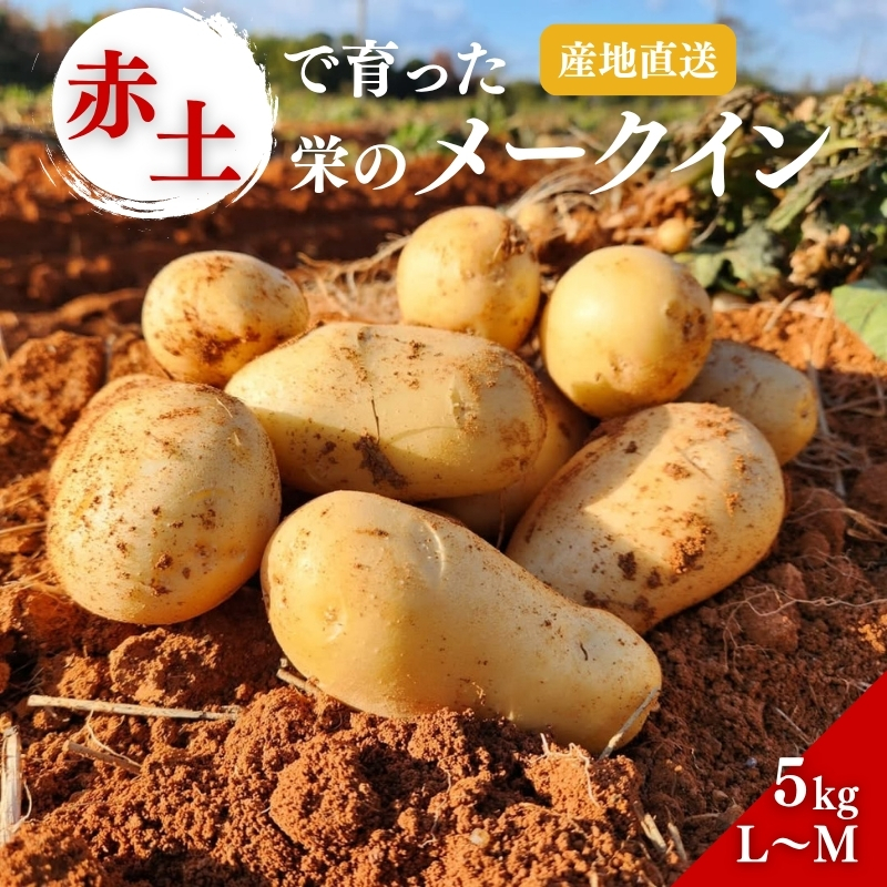 じゃがいも メークイン 5kg 産地直送 野菜 ジャガイモ 芋 赤
