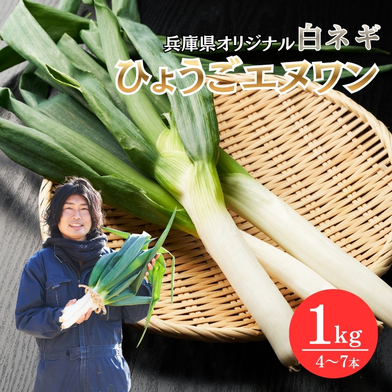 数量限定 テレビで話題！ 極上 ひょうごエヌワン 白ネギ 1kg