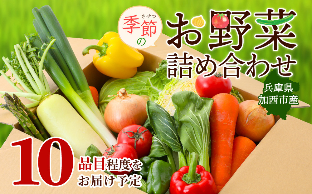 季節の野菜 セット 詰め合わせ 10品程度 野菜 野菜セット 旬