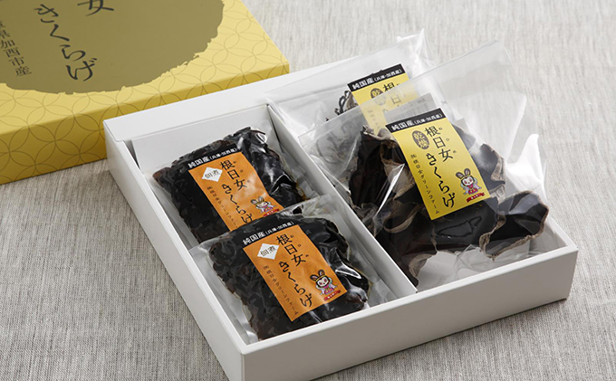 兵庫県加西市産　安全安心/根日女きくらげ詰合せ 野菜 き