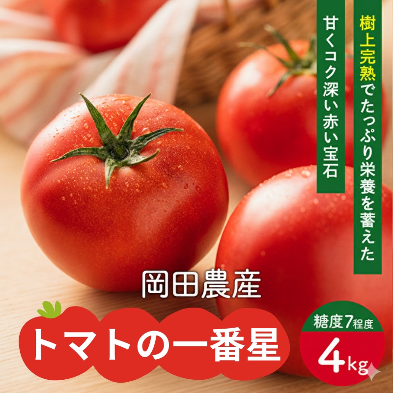 トマト 4kg トマトの一番星 野菜 とまと 完熟 高糖度 甘い 受
