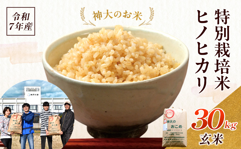 米 【令和7年産】神大のおこめ（特別栽培米ヒノヒカリ）玄