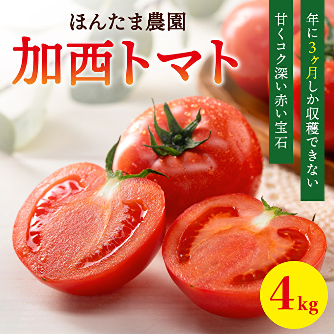 加西市産 ほんたま農園の大玉トマト 4kg（2kg×2箱） 野菜 と