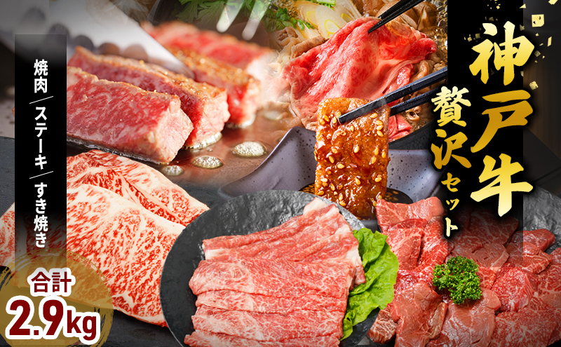 神戸牛 福袋 帝神 おまかせコース F  サーロインステーキ 肩