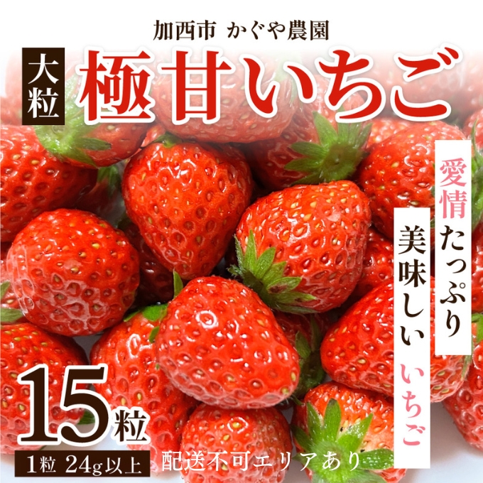 【令和8年産】 かぐや農園の極甘 いちご 大粒 15粒 果物 フ