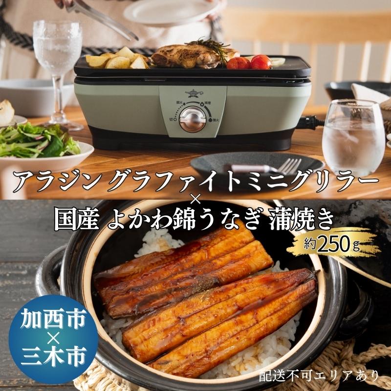 アラジン グラファイトミニグリラー 緑 国産 よかわ錦うな