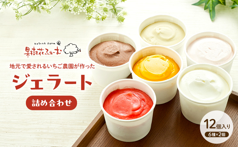 ジェラート 12個 12種 詰め合わせ アイス アイスクリーム ス