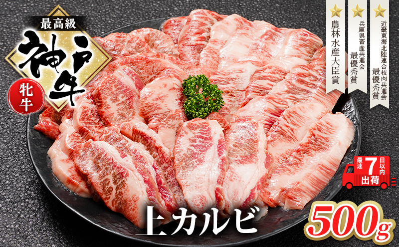 【最短7日以内発送】 神戸ビーフ 神戸牛 牝 上カルビ 焼肉 5