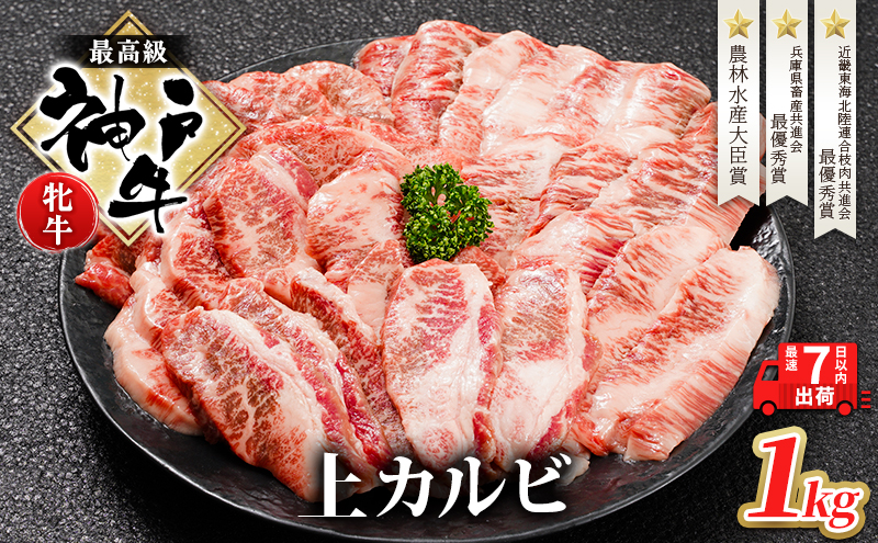 【最短7日以内発送】 神戸ビーフ 神戸牛 牝 上カルビ 焼肉 1