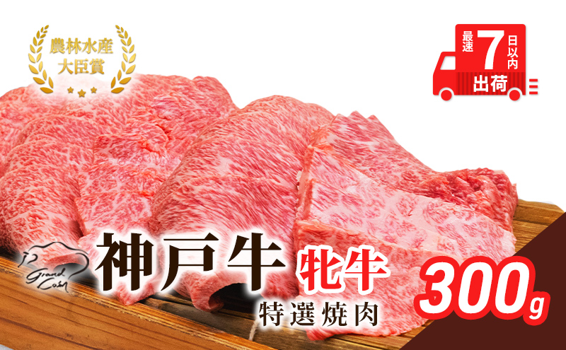 【最短7日以内発送】 神戸ビーフ 神戸牛 牝 特選焼肉 300g 川