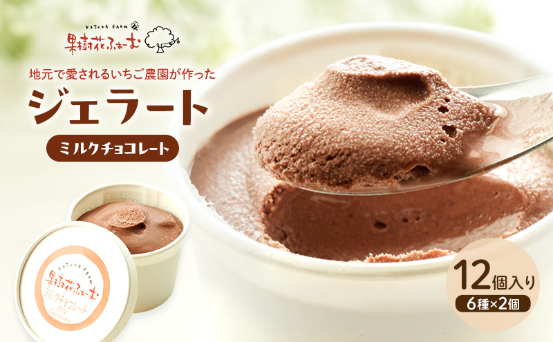 ジェラート チョコ 12個 アイス アイスクリーム スイーツ お