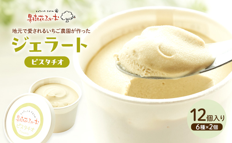 ジェラート ピスタチオ 12個 アイス アイスクリーム スイー