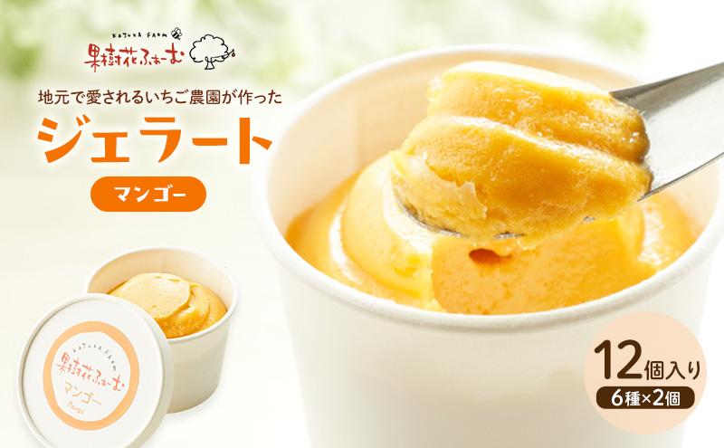 ジェラート マンゴー 12個 アイス アイスクリーム スイーツ