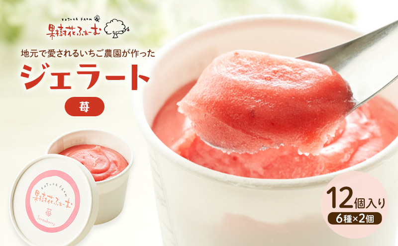 ジェラート いちご 12個 アイス アイスクリーム スイーツ お