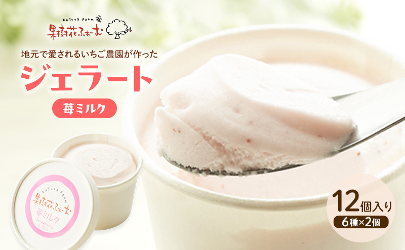 ジェラート いちごミルク 12個 アイス アイスクリーム スイ