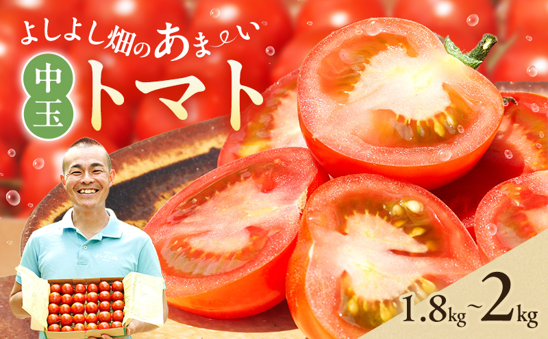 よしよし畑のあま～い トマト ( 中玉トマト ) 1.8kg ～ 2kg 程