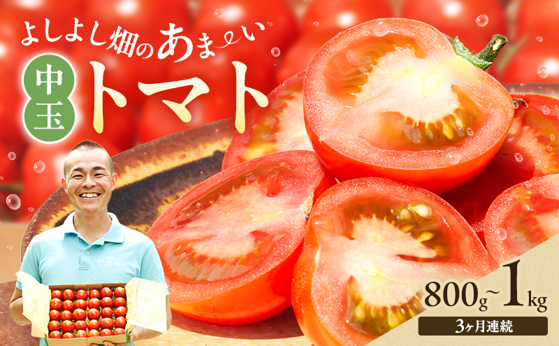【3ヶ月連続 お届け】 よしよし畑のあま～い トマト ( 中玉