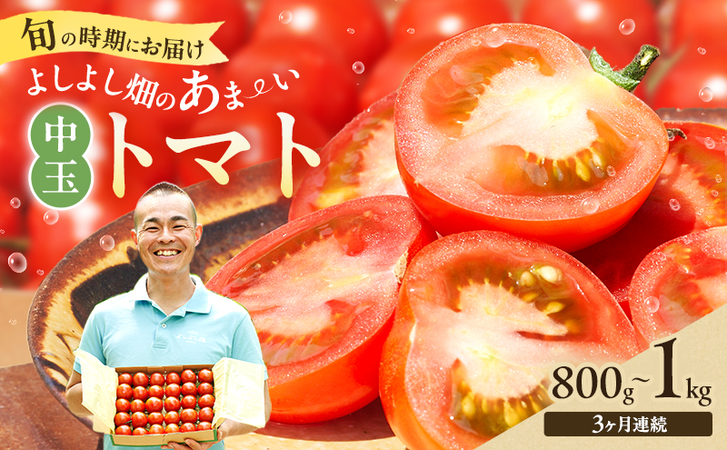 【最旬お届け確約】3ヶ月連続  よしよし畑のあま～い トマ