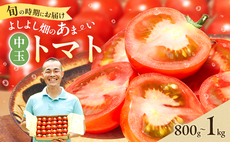 【最旬お届け!!】よしよし畑のあま～い トマト ( 中玉トマ