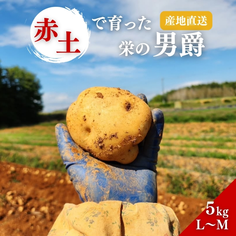 じゃがいも 男爵 5kg 産地直送 野菜 ジャガイモ 芋 赤土 加西