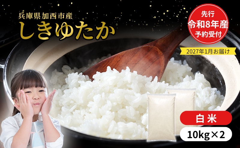 【令和8年産 先行受付】しきゆたか 白米 20kg (10kg×2)《2027年1