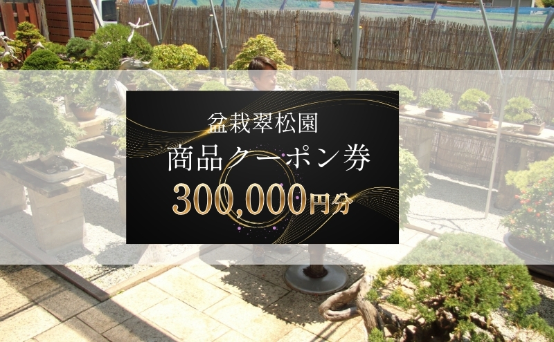 盆栽 翠松園 商品クーポン券 300,000円分 植物 観葉植物 園芸